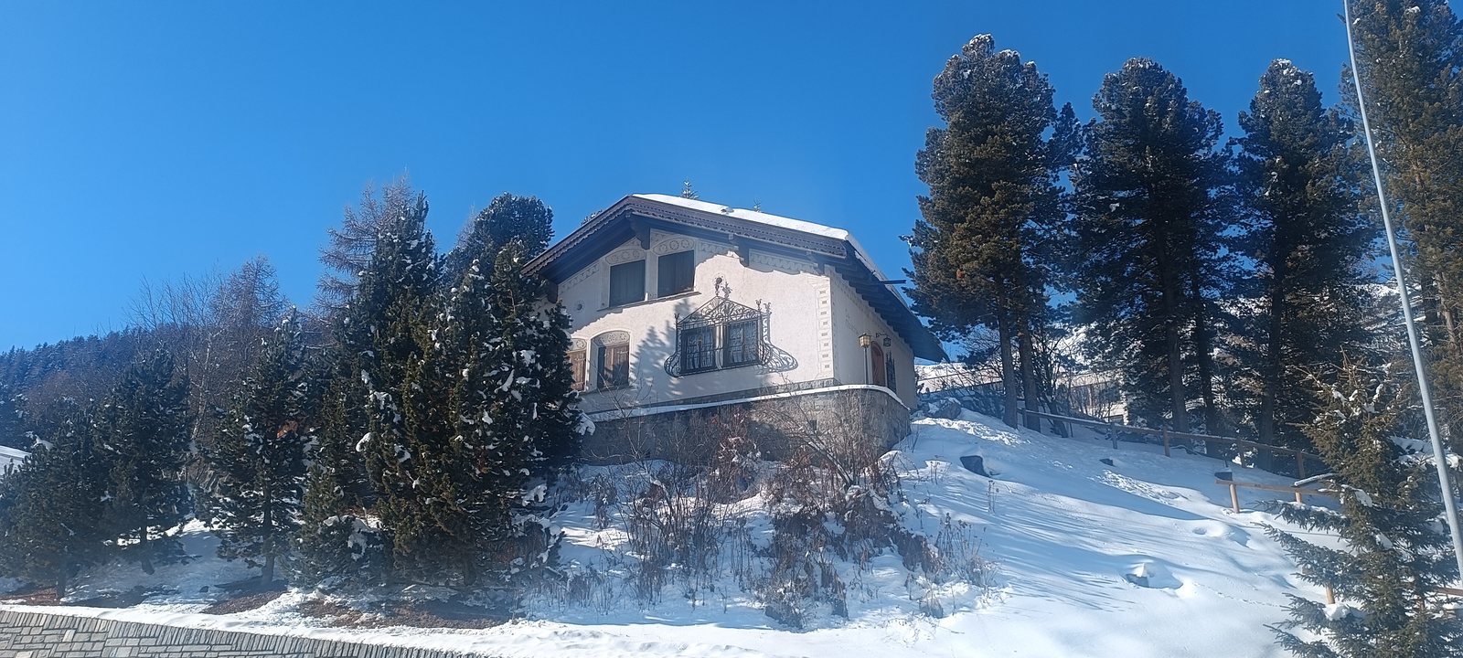 Alpine chalet among pines
